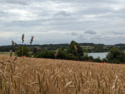 PXL 20240707 090929684