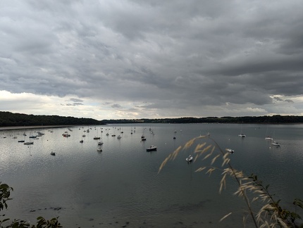 PXL 20240707 161819264