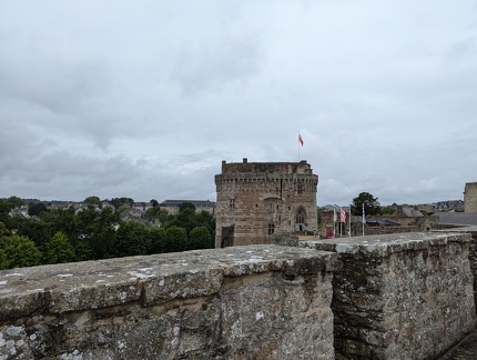 PXL 20240708 092423664