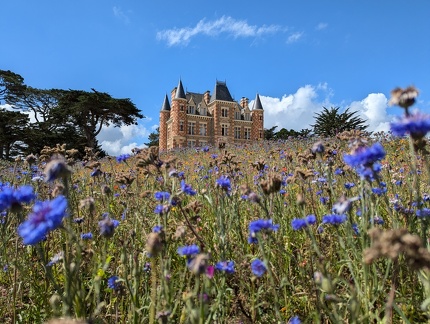 PXL 20240712 094329431