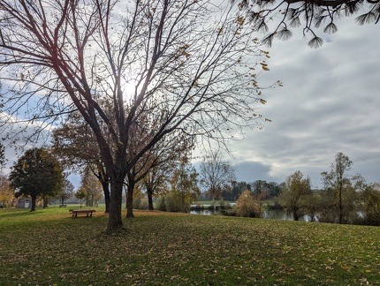 PXL 20241026 124510819