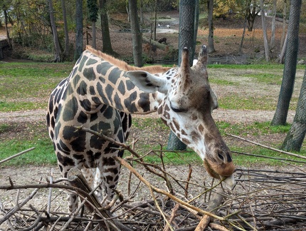 PXL 20241028 103542675