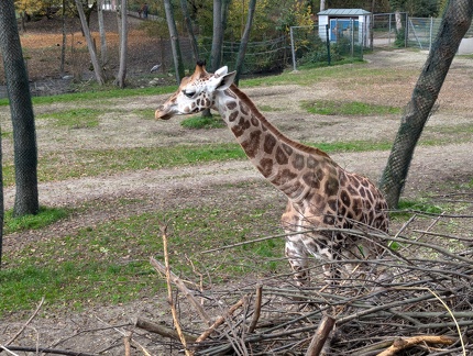 PXL 20241028 103606756