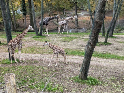 PXL 20241028 103814034