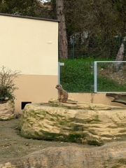 PXL 20241028 103857552