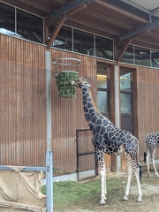 PXL 20241028 104305646