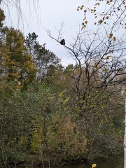 PXL 20241028 105405350