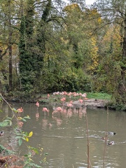 PXL 20241028 110357819