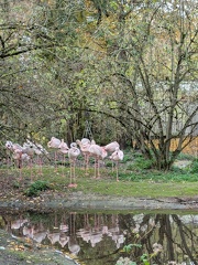 PXL 20241028 111923847