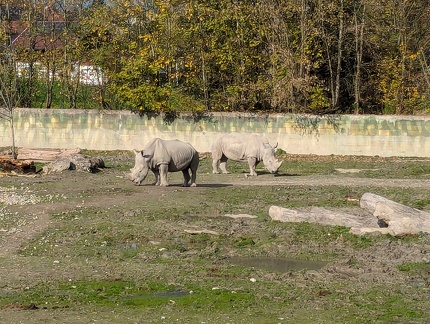 PXL 20241028 113822634