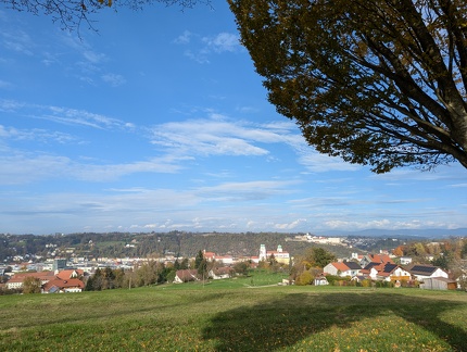 PXL 20241029 124808517