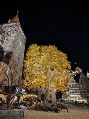 PXL 20241029 181025357