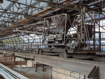 PXL 20250217 105359545