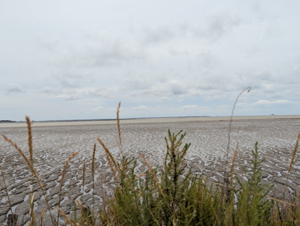 PXL 20250719 150544621