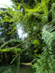 PXL 20250720 110132223