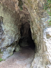 PXL 20250720 113301149