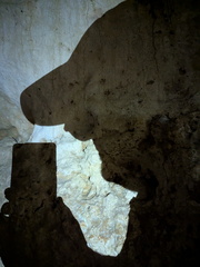 PXL 20250720 113547461