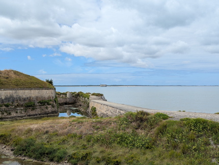 PXL 20250722 110217095