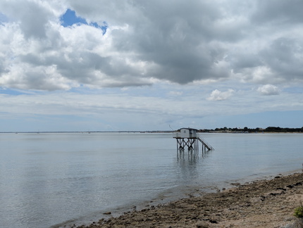 PXL 20250722 122456440