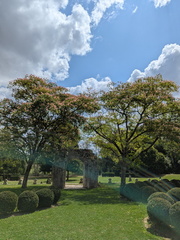 PXL 20250724 105353211