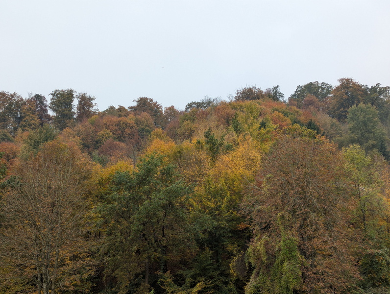 PXL_20251022_132015920.jpg