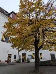 PXL 20251023 102441680