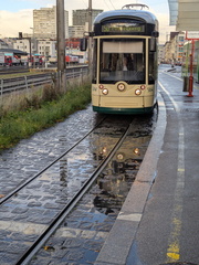 PXL 20251024 150653642