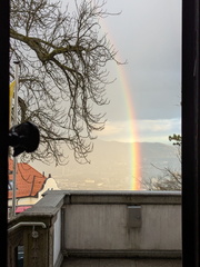 PXL 20251024 153300442