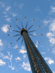 PXL 20251030 144443242