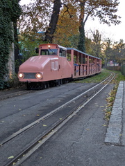 PXL 20251030 144942653