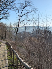 PXL 20260305 075526275