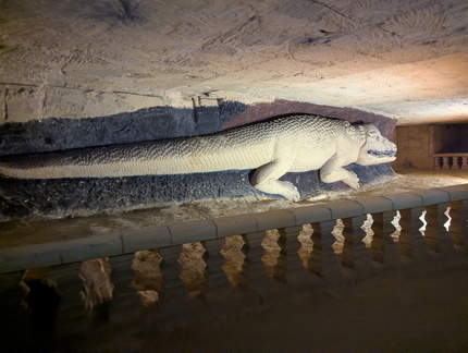 PXL 20260305 102117719